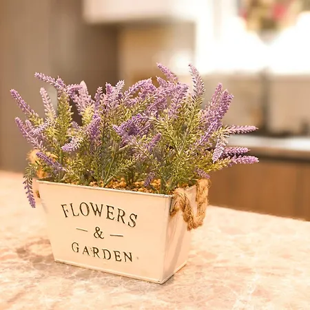 Sleepandgo * Kraljevo